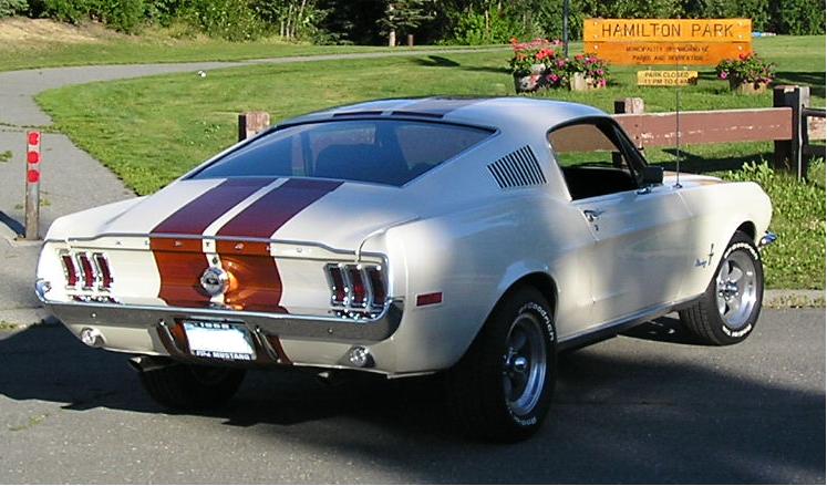 Eric Marlene's 1968 Mustang Fastback